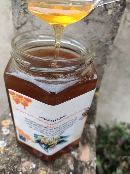 عسل الاوكالبتوس (1kg)