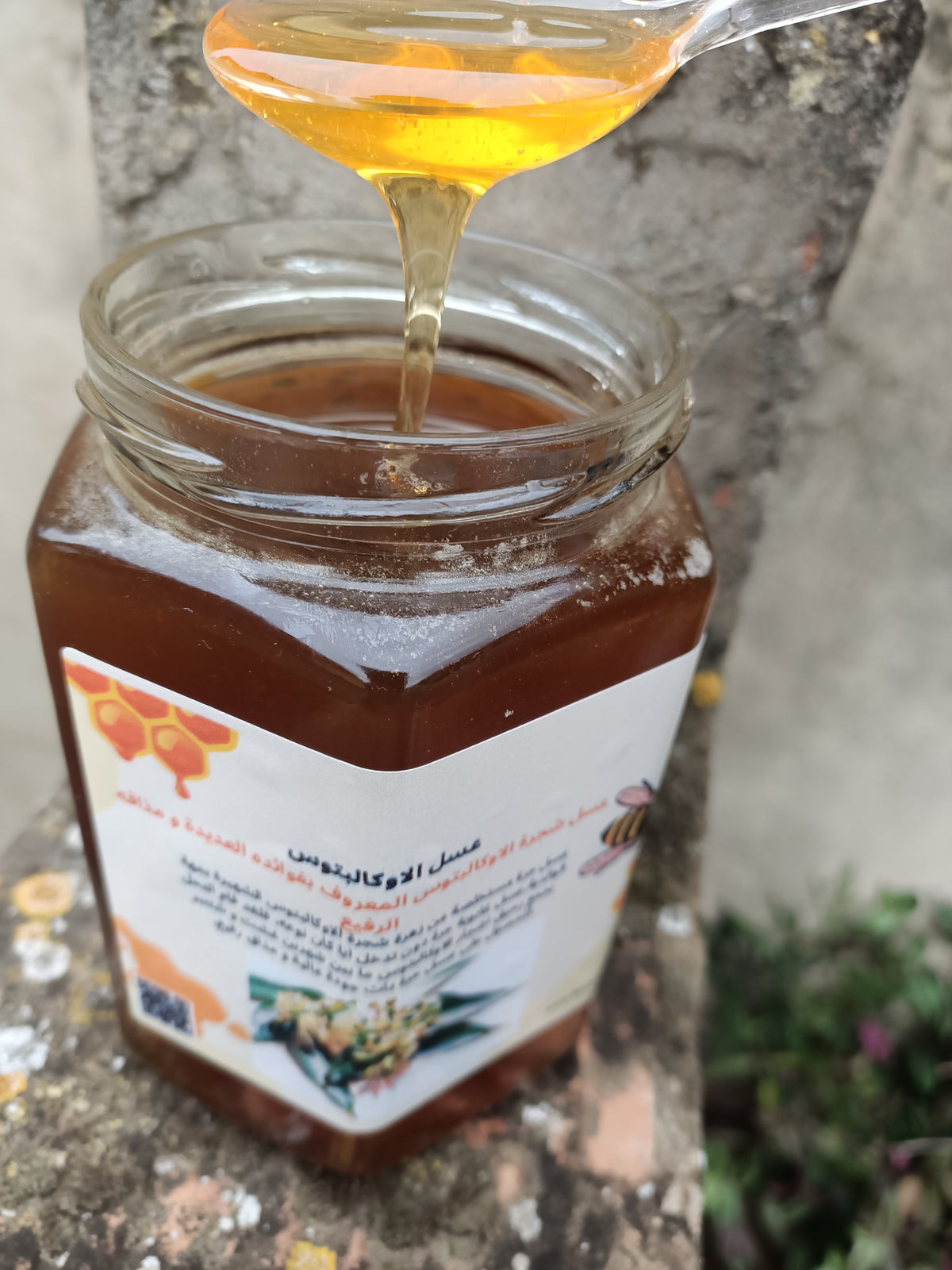 عسل الاوكالبتوس (1kg)