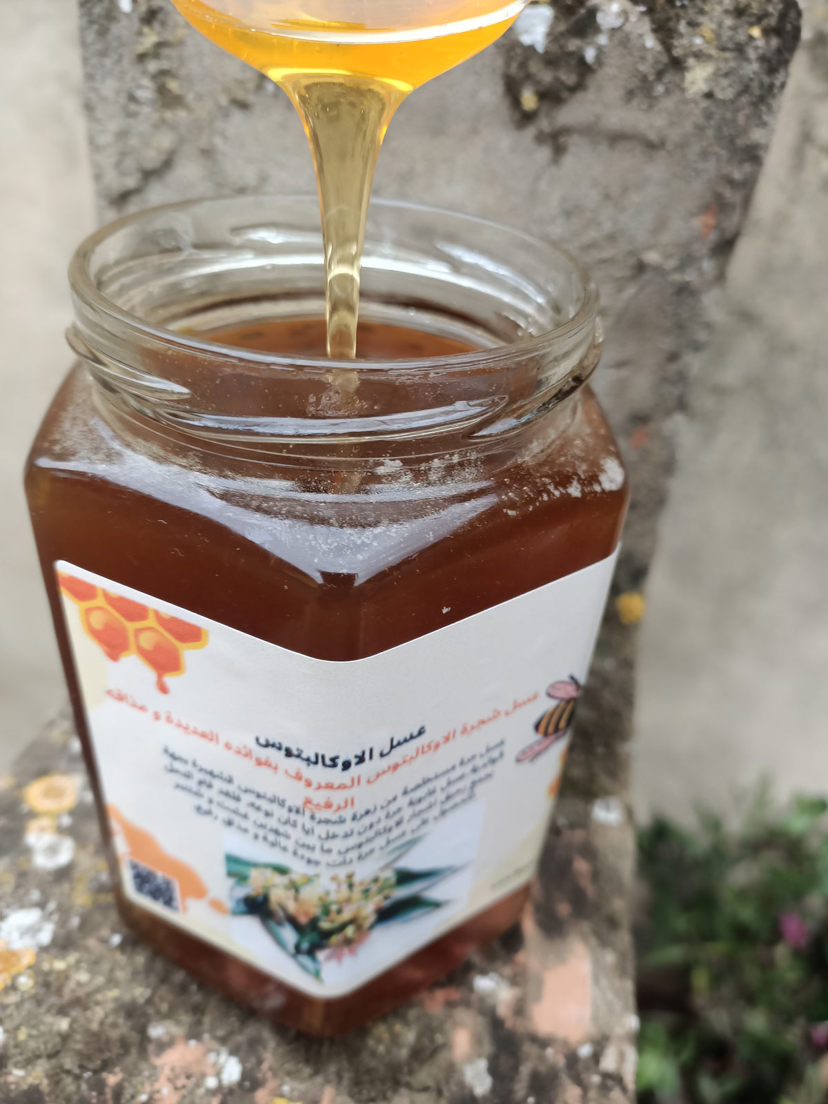 عسل الاوكالبتوس (1kg)