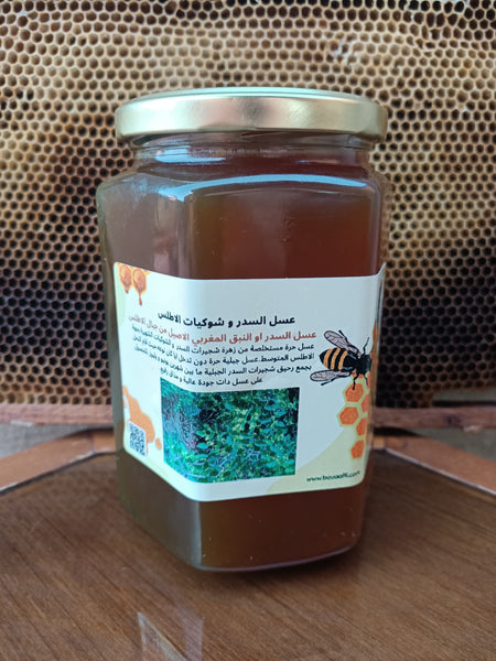 عسل السدر و الشوك الازرق